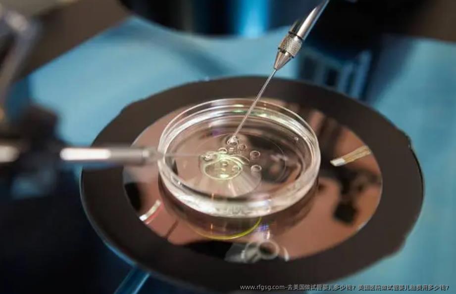 去美国做试管婴儿多少钱？美国医院做试管婴儿胎费用多少钱？
