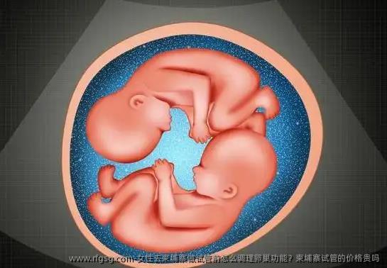女性去柬埔寨做试管前怎么调理卵巢功能？柬埔寨试管的价格贵吗