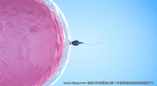 泰国三代试管婴儿哪个步骤就要选择医生和医院了？