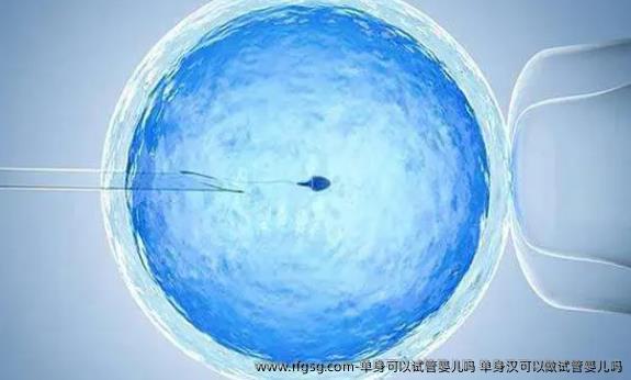 单身可以试管婴儿吗 单身汉可以做试管婴儿吗