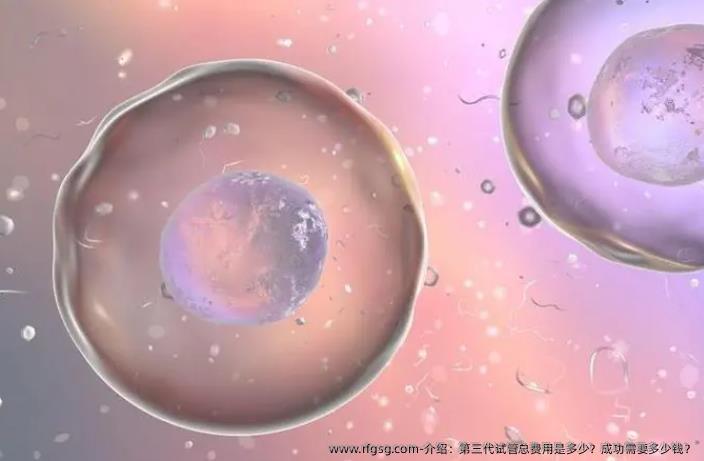 介绍：第三代试管总费用是多少？成功需要多少钱？