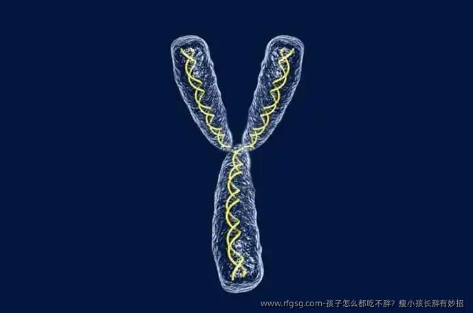 孩子怎么都吃不胖？瘦小孩长胖有妙招 