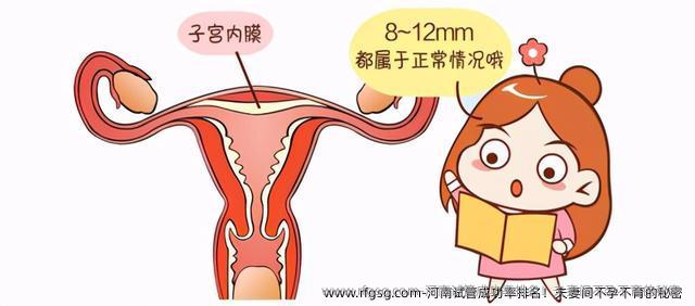 河南试管成功率排名！夫妻间不孕不育的秘密 