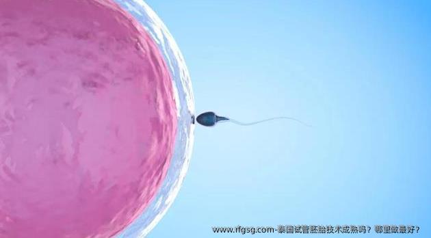 泰国试管胚胎技术成熟吗？哪里做最好？ 