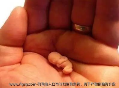 河南省人口与计划生育条例，关于产假的相关介绍 