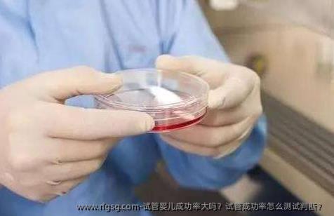 试管婴儿成功率大吗？试管成功率怎么测试判断？ 