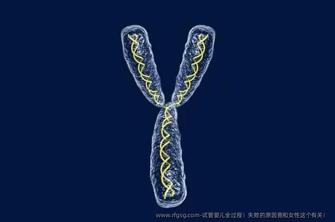 试管婴儿全过程！失败的原因竟和女性这个有关！ 