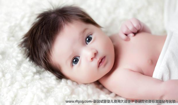 泰国试管婴儿费用大调查：各医院收费标准揭秘与比较