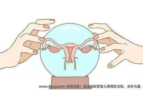 花钱有道！新加坡试管婴儿费用及流程，步步为赢