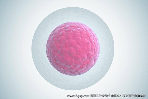 泰国三代试管技术揭秘：成功率及费用构成