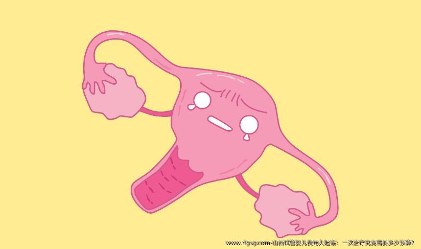 山西试管婴儿费用大起底：一次治疗究竟需要多少预算？