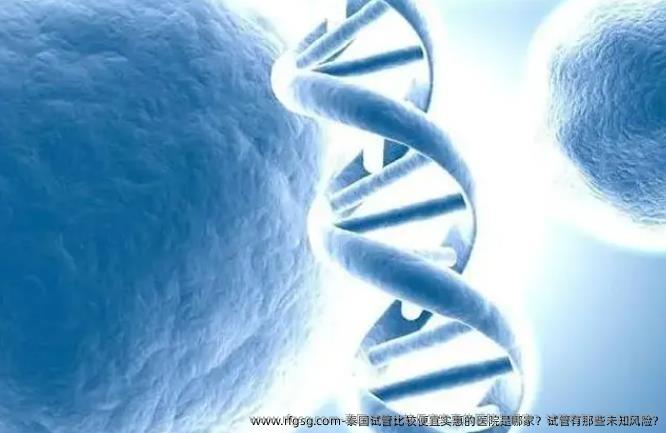 泰国试管比较便宜实惠的医院是哪家？试管有那些未知风险?
