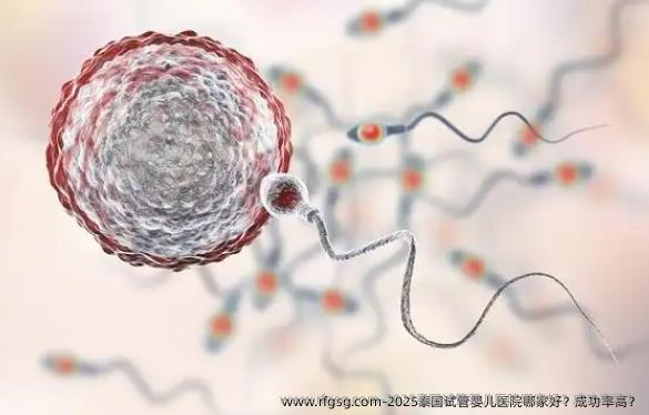 2025泰国试管婴儿医院哪家好？成功率高？