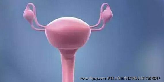 选择上海三代试管婴儿技术成熟吗？