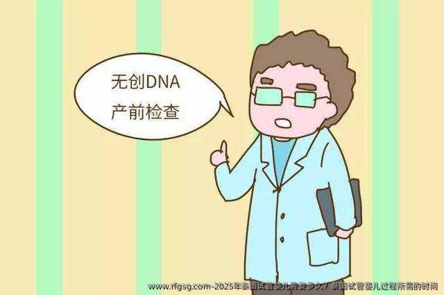 2025年泰国试管婴儿需要多久？泰国试管婴儿过程所需的时间