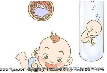 泰国试管婴儿成功率概览及不同医院收费差异解析