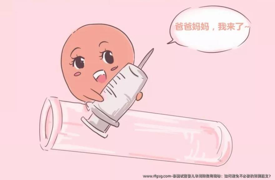 泰国试管婴儿单周期费用揭秘：如何避免不必要的预算超支？