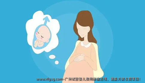 广州试管婴儿费用详细透视，涵盖关键收费项目！
