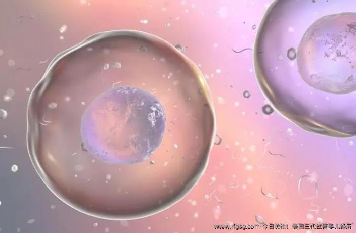今日关注！美国三代试管婴儿经历