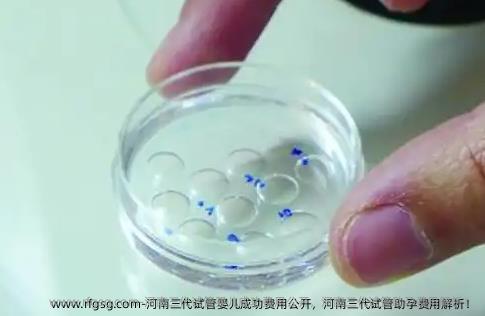 河南三代试管婴儿成功费用公开，河南三代试管助孕费用解析！
