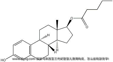 解析马来西亚三代试管婴儿费用构成，怎么省钱跟我学！