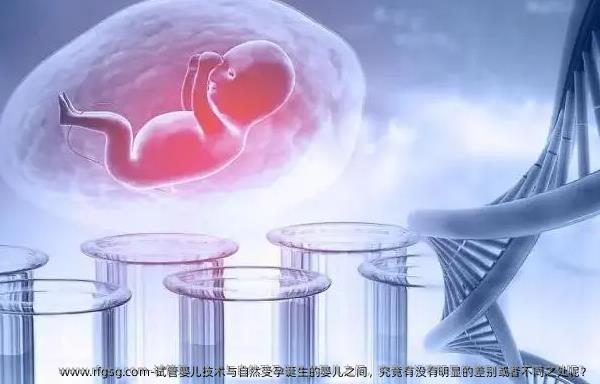 试管婴儿技术与自然受孕诞生的婴儿之间，究竟有没有明显的差别或者不同之处呢？