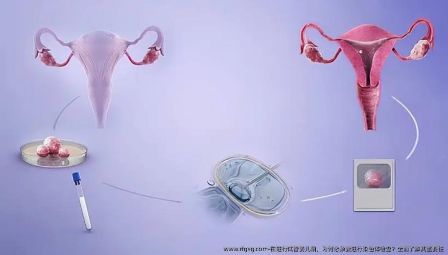 在进行试管婴儿前，为何必须要进行染色体检查？全面了解其重要性