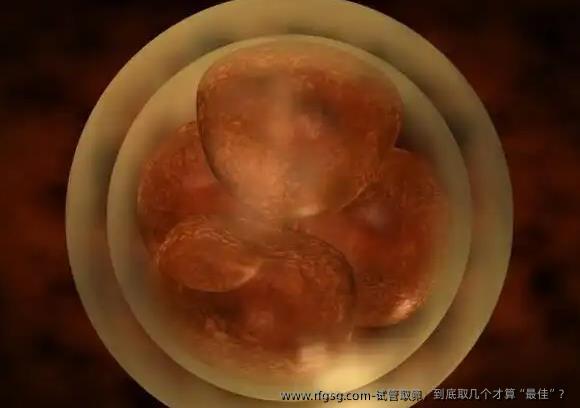 试管取卵，到底取几个才算“最佳”？
