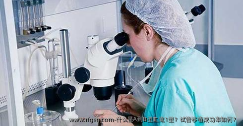 什么是A到B型血流1型？试管移植成功率如何？