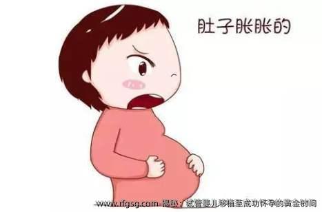 揭秘：试管婴儿移植至成功怀孕的黄金时间