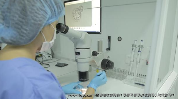 抗卵巢抗体阳性？还能不能通过试管婴儿技术助孕？