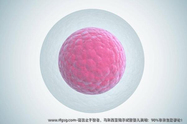 谣言止于智者，马来西亚揭示试管婴儿真相：90%非亲生是谬论！