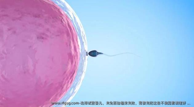 选择试管婴儿，未免胚胎着床失败，需要先把这些不良因素调理好 ... 