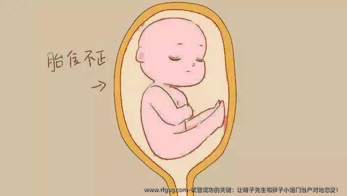 试管成功的关键：让精子先生和卵子小姐门当户对地恋爱！ 