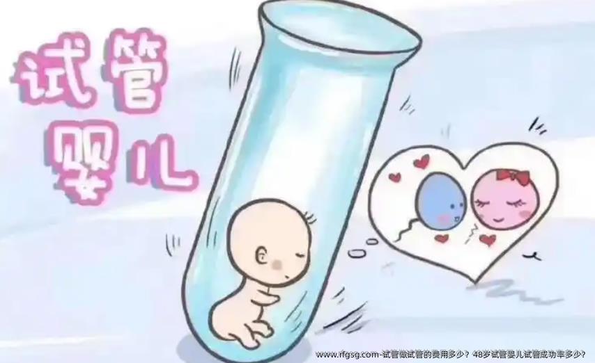 试管做试管的费用多少？48岁试管婴儿试管成功率多少？