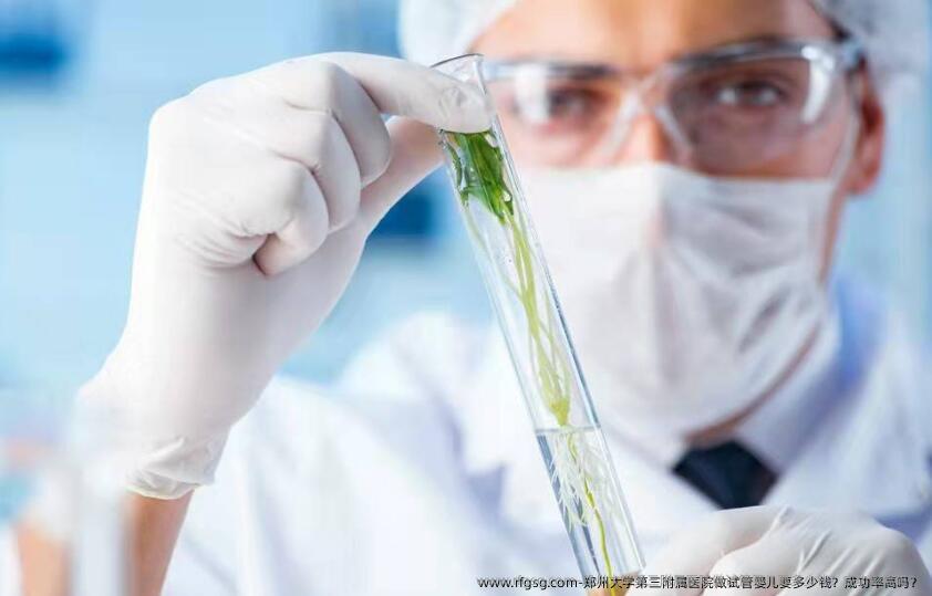 郑州大学第三附属医院做试管婴儿要多少钱？成功率高吗？