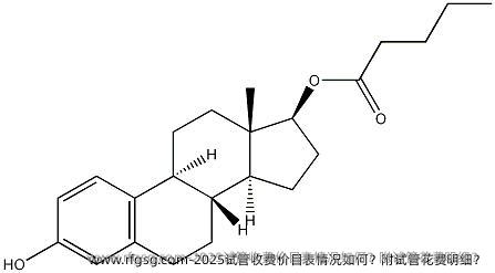 2025试管收费价目表情况如何？附试管花费明细？