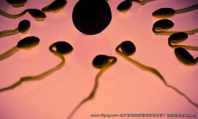 山大生殖做试管成功率分析？想要提高要这么做