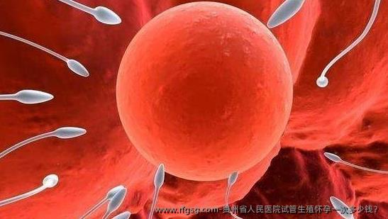 贵州省人民医院试管生殖怀孕一次多少钱？