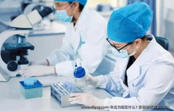 朱古力瘤是什么？影响做试管婴儿吗？