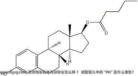 无创性染色体有异常会怎么样 ？ 试管婴儿中的“PN”是什么意思？