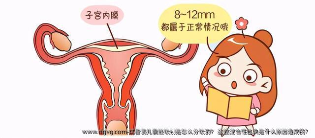 试管婴儿囊胚级别是怎么分级的？ 盆腔混合性包块是什么原因造成的？