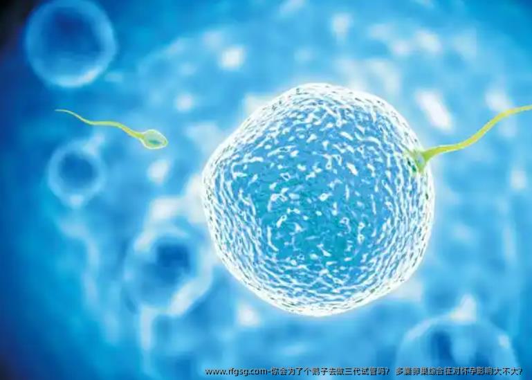 你会为了个鹅子去做三代试管吗？ 多囊卵巢综合征对怀孕影响大不大？