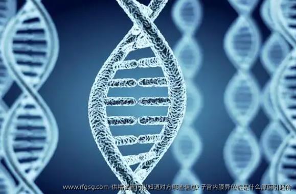 供精试管可以知道对方哪些信息? 子宫内膜异位症是什么原因引起的