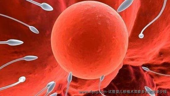 试管婴儿移植术需要多长时间多少钱
