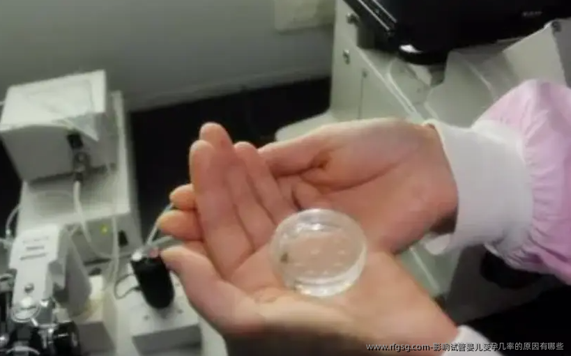 影响试管婴儿受孕几率的原因有哪些