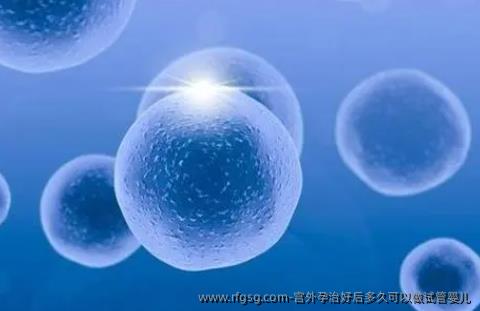 宫外孕治好后多久可以做试管婴儿