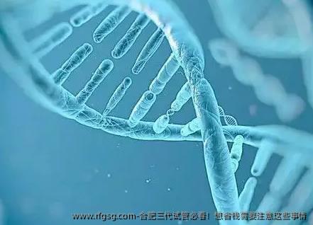 合肥三代试管必看！想省钱需要注意这些事情
