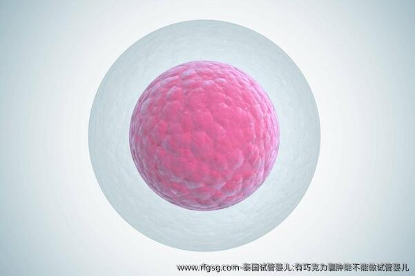 泰国试管婴儿:有巧克力囊肿能不能做试管婴儿