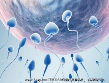 河南三代试管婴儿费用不贵，非常值得选择！